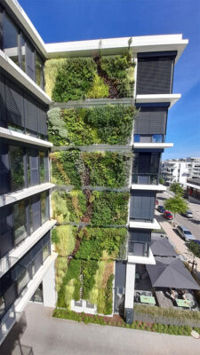 Fassadenbegrünung Smart Green Tower in Freiburg