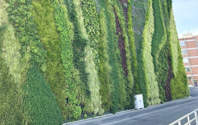 Fassadenbegrünung Werkshalle DaimlerTruck in Gaggenau