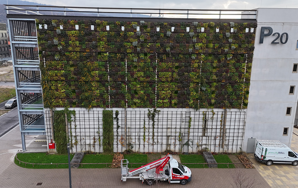 Fassadenbegrünung Parkhaus HIP in Heidelberg