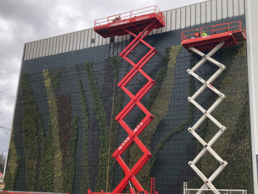 Fassadenbegrünung Werkshalle DaimlerTruck in Gaggenau